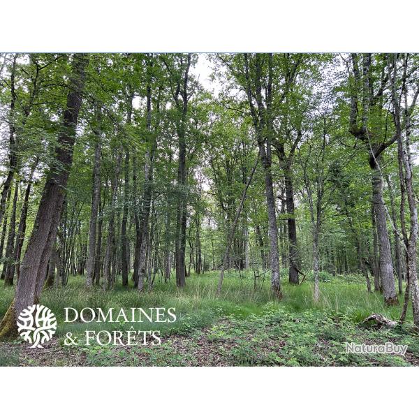 Propri�t� de chasse et de caract�re Sud de la Brenne (36) d'environ 86 hectares DF-638-B