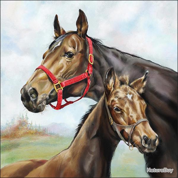 SERVIETTE JUMENT ET POULAIN - AMBIENTE