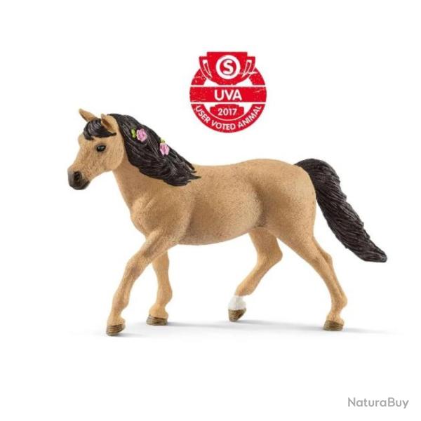 FIGURINE PONEY CONNEMARA, FEMELLE - SCHLEICH