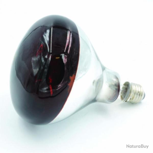 AMPOULE POUR ELEVEUSE 100W - GAUN