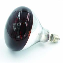 AMPOULE POUR ELEVEUSE 175W - GAUN