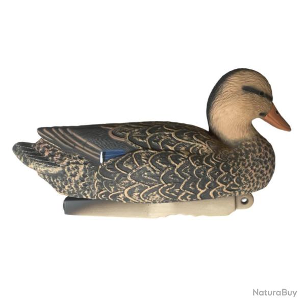 APPELANT COLVERT FEMELLE HD - 