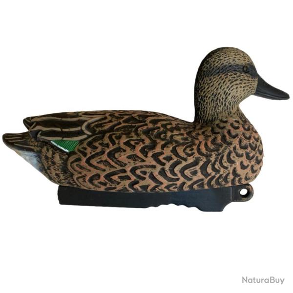 APPELANT SARCELLE FEMELLE HD - 