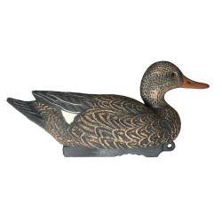 APPELANT CHIPEAU FEMELLE HD - 