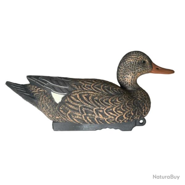 APPELANT CHIPEAU FEMELLE HD - 