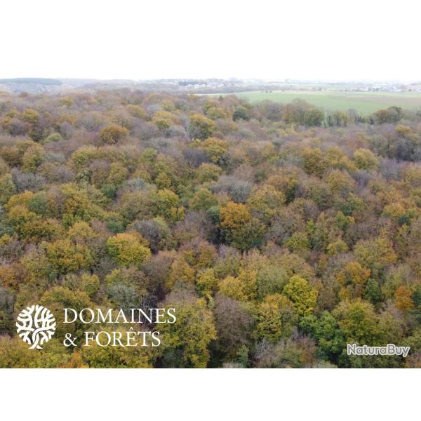 Propri�t� Foresti�re et Cyn�g�tique dans le Loiret d'environ 45 hectares DF-1105-S