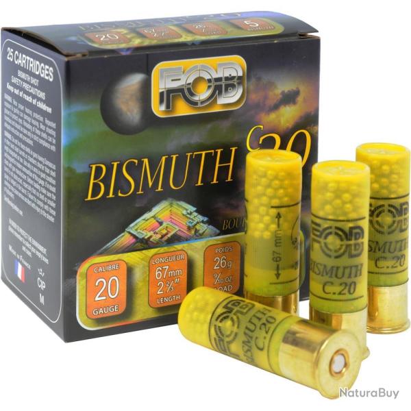 CARTOUCHES BISMUTH 20/67 26G BG X25 - N 5 - FOB