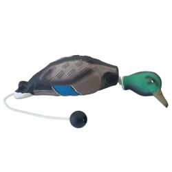 APPORTABLE CANARD COLVERT - 