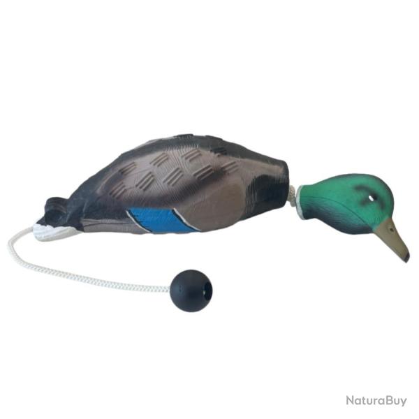 APPORTABLE CANARD COLVERT - 