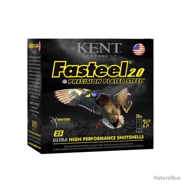 CARTOUCHES FAST STEEL HP 20 70 25G N KENT