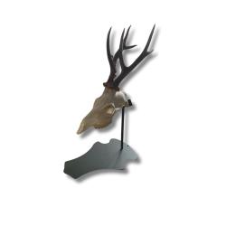 SUPPORT TROPHEE PREMIUM SUR PIED CHEVREUIL - HENON