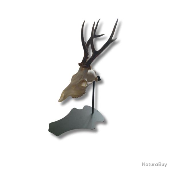 SUPPORT TROPHEE PREMIUM SUR PIED CHEVREUIL - HENON