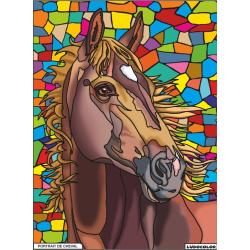 COLORIAGE PORTRAIT DE CHEVAL - LUDOCOLOR