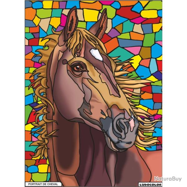 COLORIAGE PORTRAIT DE CHEVAL - LUDOCOLOR
