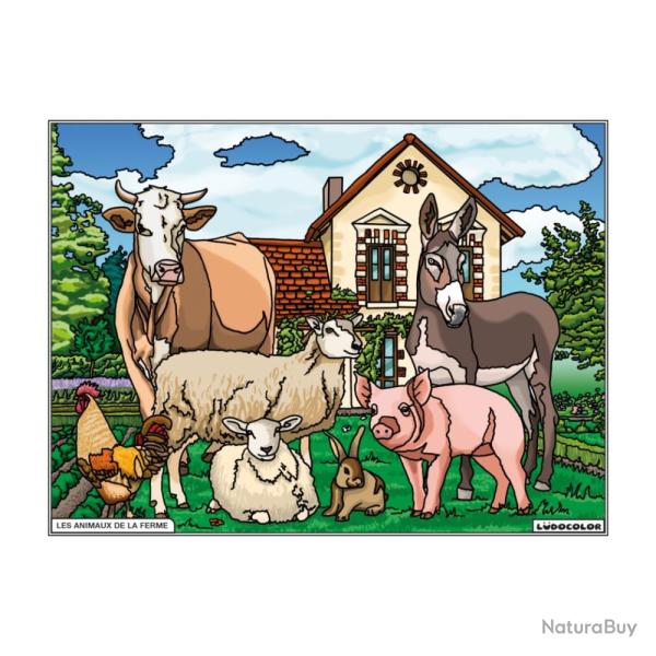 COLORIAGE ANIMAUX DE LA FERME - LUDOCOLOR