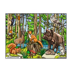 COLORIAGE LES ANIMAUX DE LA FORET - LUDOCOLOR