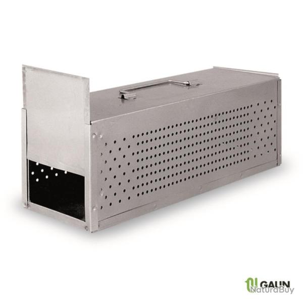 CAGE DE TRANSPORT PIGEON 2 COMPOARTIMENTS - GAUN