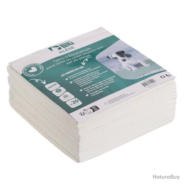 TAPIS D'EDUCATION X10 60X90CM - MON AMI LUKI