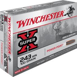 BALLES 243WIN PP 100GR - WINCHESTER