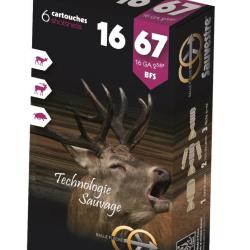 BALLES FLECHE SAUVESTRE 16/67X6 - SAUVESTRE