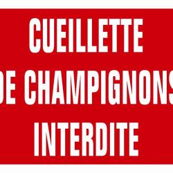 PANNEAU AKILUX CUEILL.CHAMPIGNONS - KROMA