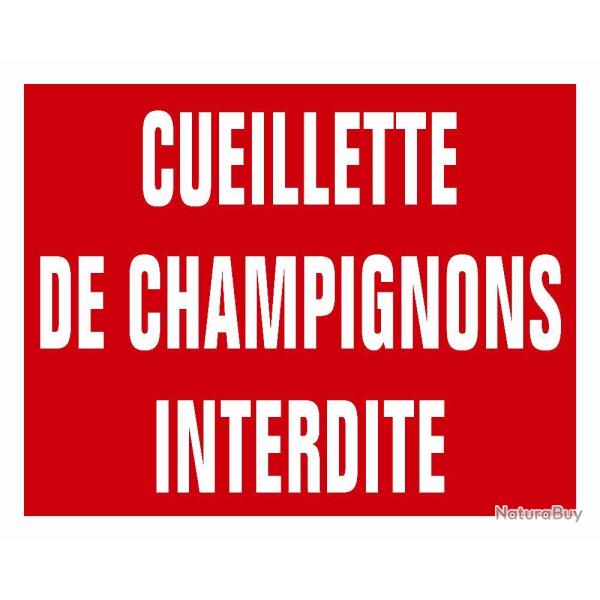 PANNEAU AKILUX CUEILL.CHAMPIGNONS - KROMA