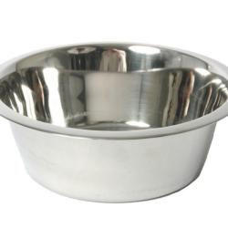 GAMELLE INOX - 25cm - 22
