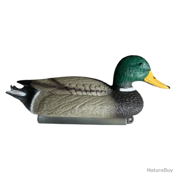 APPELANT COLVERT M�LE - 