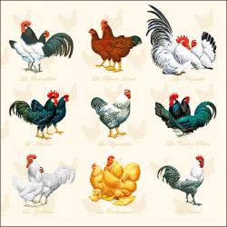 SERVIETTE POULES COQS - AMBIENTE