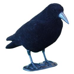 APPELANT CORBEAU FLOQUE - 