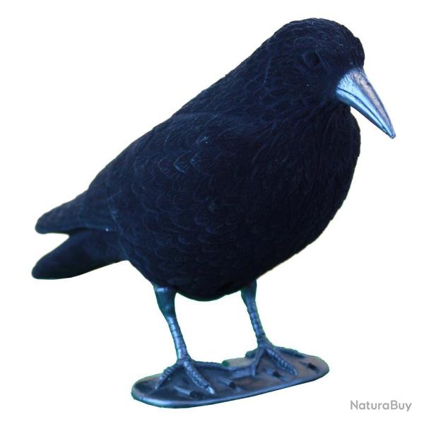 APPELANT CORBEAU FLOQUE - 