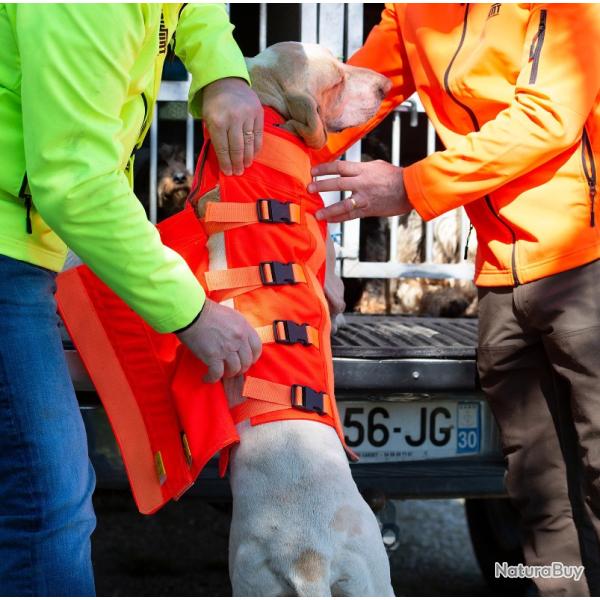 Gilet Protection pour Chien T60