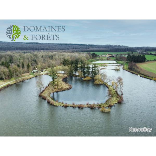 Propri�t� de P�che avec Etangs et Maison d'Habitation dans l'Orne 16 hectares DF-1046-B