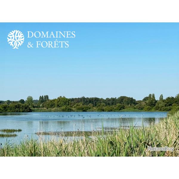 Magnifique territoire  de p�che � la carpe et d'agr�ment dans l'Indre (36) d'environ DF-1053-B