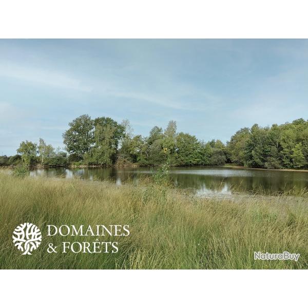 Propri�t� d'Agr�ment 4 hectares avec �tang en Charente DF-621-A