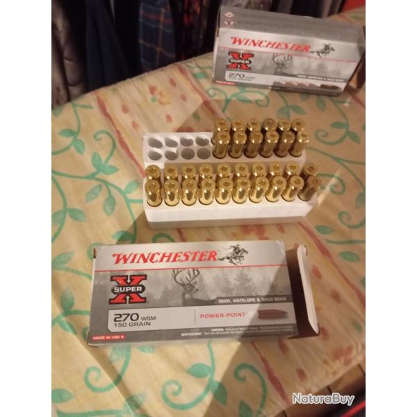 Balles Winchester PowerPoint 270wsm 150grain