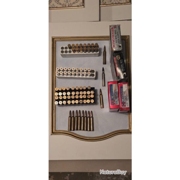 Lot munitions 300 win mag 82 balles toutes marques