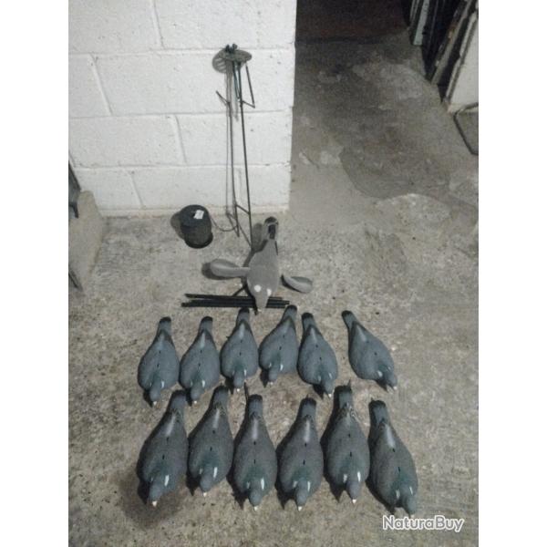 6 Formes pigeon 6 demis coquille 1 pigeon aile tournante  pile et une palette a pigeon