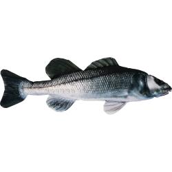 PELUCHE BAR 70CM - GABY