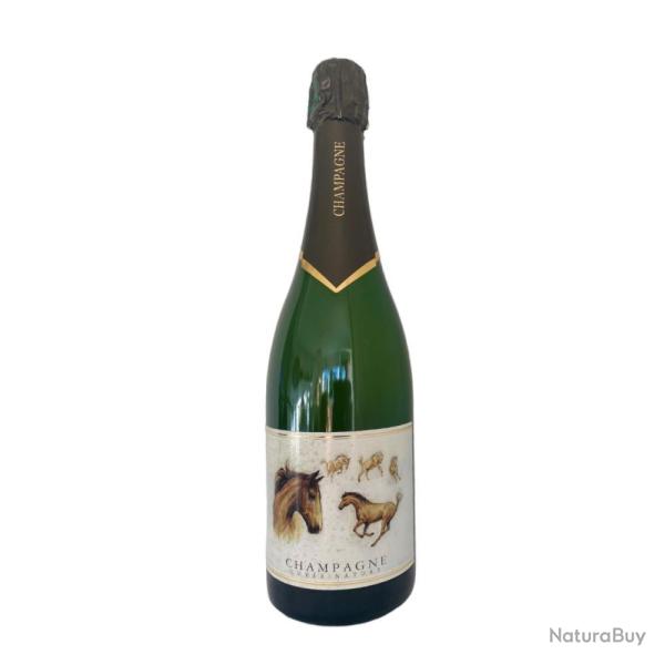 BOUTEILLE DE CHAMPAGNE CHEVAL - 0.0080 - CHAMPAGNE PAUL POTHELET