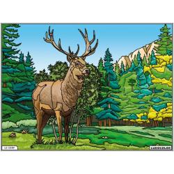 COLORIAGE LE CERF - LUDOCOLOR