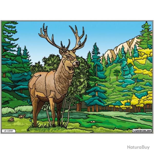 COLORIAGE LE CERF - LUDOCOLOR