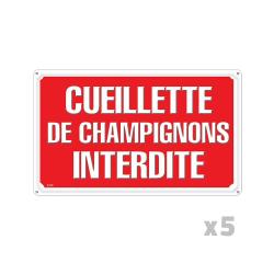Lot de 5 Panneaux CUEILLETTE CHAMPIGNONS Alu 30 x 20cm