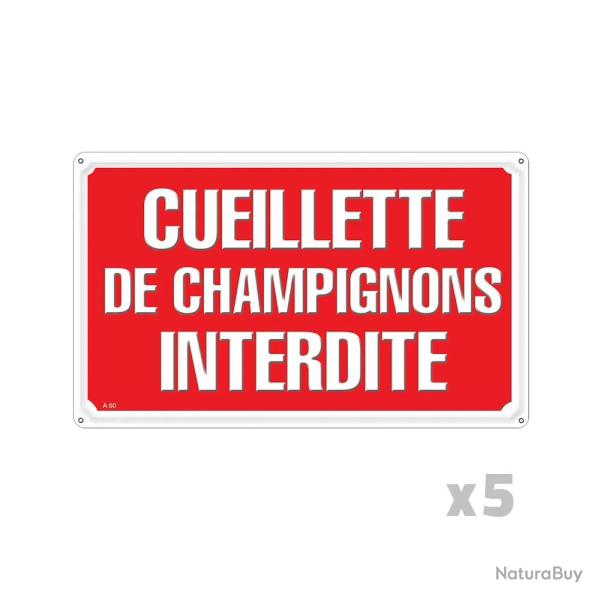 Lot de 5 panneaux � Cueillette de champignons interdite � aluminium 30 x 20 cm
