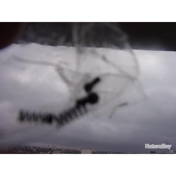 4 pices de blocage du verrou de canon de Browning SA smokeless semi-auto .22