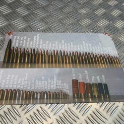 plaque decoration alu 30 x 20 cm avec les differentes munitions balles cartouches