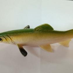 Leurre souple UniCat Trout GT 15cm 50g