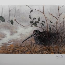 Reproduction d art L&eacute;on Danchin. B&eacute;casse