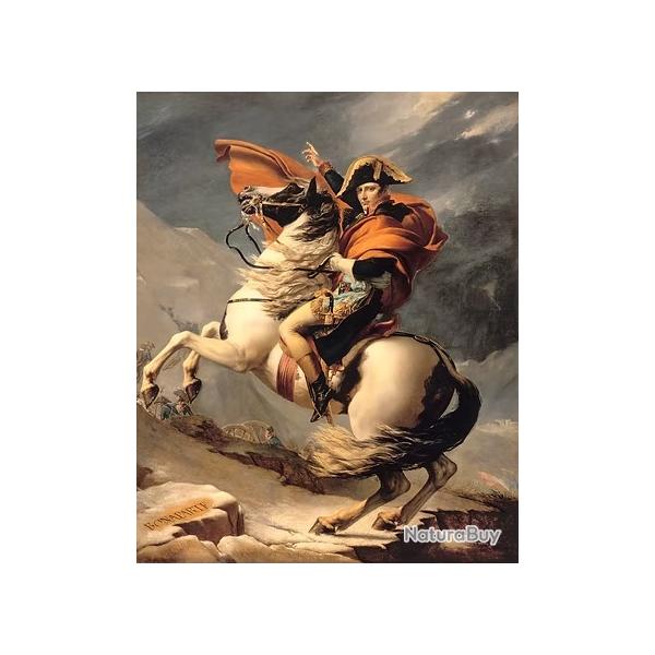 Aux Invalides, Marengo, cheval de Napol�on et chef d'oeuvre  c'�tait un PUR SANG ARABE