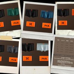 Superbe Boxer Sous Vetement de Luxe style Fashion, Modele: 2pcs